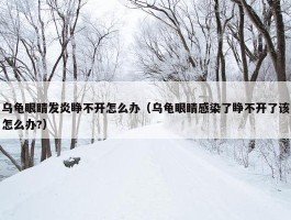 乌龟眼睛发炎睁不开怎么办（乌龟眼睛感染了睁不开了该怎么办?）