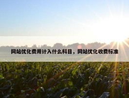 网站优化费用计入什么科目，网站优化收费标准