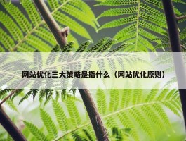 网站优化三大策略是指什么（网站优化原则）