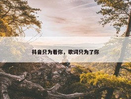 抖音只为着你，歌词只为了你