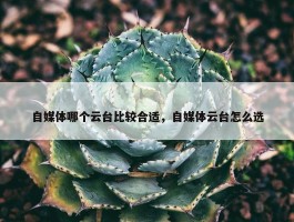 自媒体哪个云台比较合适，自媒体云台怎么选