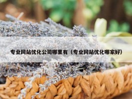 专业网站优化公司哪里有（专业网站优化哪家好）