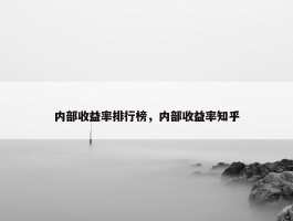 内部收益率排行榜，内部收益率知乎