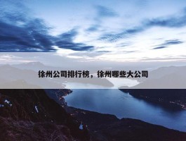 徐州公司排行榜，徐州哪些大公司