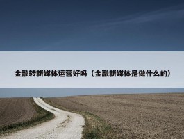 金融转新媒体运营好吗（金融新媒体是做什么的）