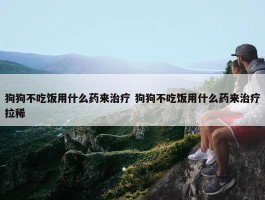 狗狗不吃饭用什么药来治疗 狗狗不吃饭用什么药来治疗拉稀