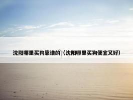 沈阳哪里买狗靠谱的（沈阳哪里买狗便宜又好）