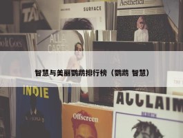 智慧与美丽鹦鹉排行榜（鹦鹉 智慧）