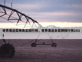 世界奥运奖牌真实排行榜，世界奥运会奖牌排行榜2021