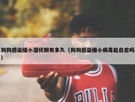 狗狗感染细小潜伏期有多久（狗狗感染细小病毒能自愈吗）