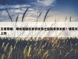 王者荣耀：哪些英雄在拿到优势之后就非常无解？诸葛亮上榜