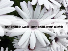 地产新媒体怎么运营（地产新媒体运营内容规划）