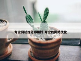 专业网站优化哪里好 专业的网站优化