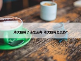 幼犬拉稀了该怎么办 幼犬拉稀怎么办?