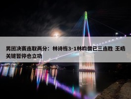 男团决赛连取两分：林诗栋3-1林昀儒已三连胜 王皓关键暂停也立功