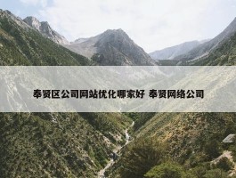 奉贤区公司网站优化哪家好 奉贤网络公司