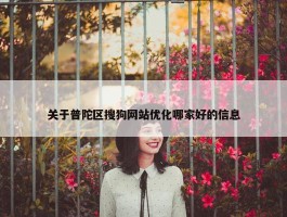 关于普陀区搜狗网站优化哪家好的信息