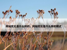 网站优化是什么样的，网站优化是什么样的模式