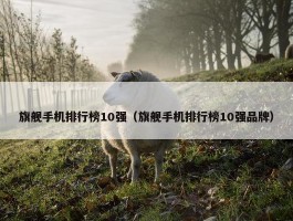 旗舰手机排行榜10强（旗舰手机排行榜10强品牌）