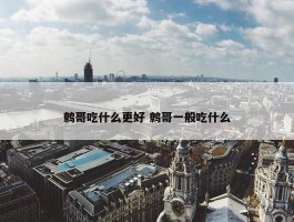 鹩哥吃什么更好 鹩哥一般吃什么