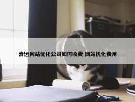 清远网站优化公司如何收费 网站优化费用