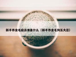 新手养金毛应该准备什么（新手养金毛狗五大忌）