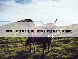 世界十大猛禽排行榜（世界十大猛禽排行榜图片）