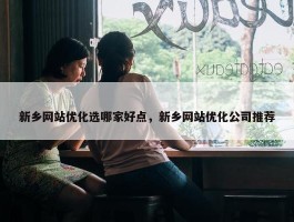 新乡网站优化选哪家好点，新乡网站优化公司推荐