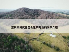 栾川网站优化怎么选的专业的简单介绍