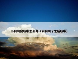 小狗叫完咳嗽怎么办（狗狗叫了之后咳嗽）