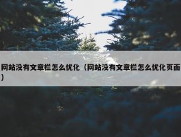 网站没有文章栏怎么优化（网站没有文章栏怎么优化页面）