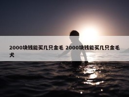 2000块钱能买几只金毛 2000块钱能买几只金毛犬