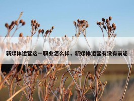 新媒体运营这一职业怎么样，新媒体运营有没有前途