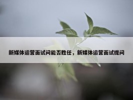 新媒体运营面试问能否胜任，新媒体运营面试提问