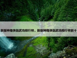 新版神雕侠侣武功排行榜，新版神雕侠侣武功排行榜前十