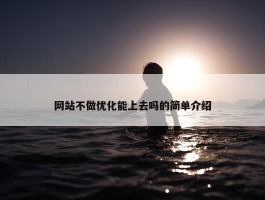 网站不做优化能上去吗的简单介绍