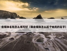 自媒体名称怎么填写好（做自媒体怎么起个响亮的名字）