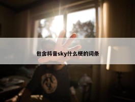 包含抖音sky什么梗的词条