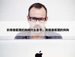 长得像狐狸的狗叫什么名字，长得像狐狸的狗狗