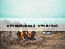 东莞电器网站优化怎么做，东莞电器有限公司