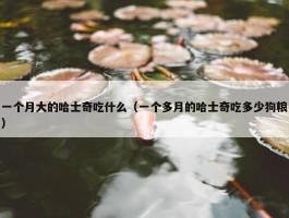 一个月大的哈士奇吃什么（一个多月的哈士奇吃多少狗粮）