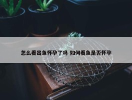 怎么看出鱼怀孕了吗 如何看鱼是否怀孕