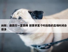 纳斯：康西尔一直很棒 新赛季某个时段他的出场时间会很多