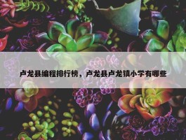 卢龙县编程排行榜，卢龙县卢龙镇小学有哪些