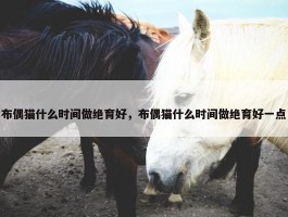 布偶猫什么时间做绝育好，布偶猫什么时间做绝育好一点