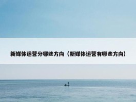 新媒体运营分哪些方向（新媒体运营有哪些方向）