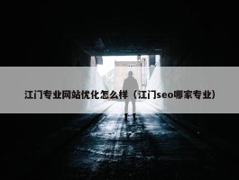 江门专业网站优化怎么样（江门seo哪家专业）