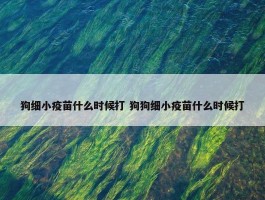 狗细小疫苗什么时候打 狗狗细小疫苗什么时候打