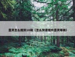 壶灵怎么提到10级（怎么快速提升壶灵等级）