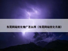 东莞网站优化推广怎么样（东莞网站优化方案）